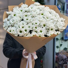 Кустовые хризантемы