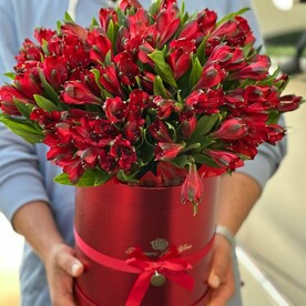 Альстромерия в коробке