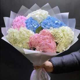 Гортезия микс