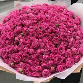 Роскошная 101 Роза