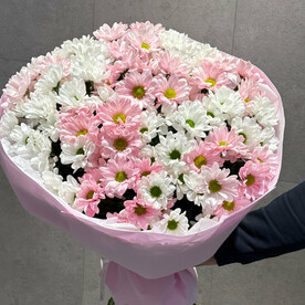 Ромашковая хризантемы