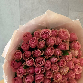 51 роза розовая