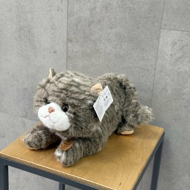 Котик мягкий