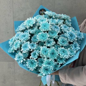 Морская звезда