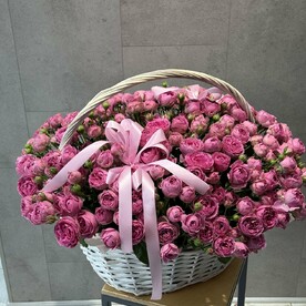 51 кустовая Роза пионовидная