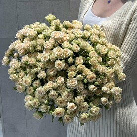 Кустовая Роза «Яна»