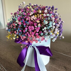 Гипсофила в коробке