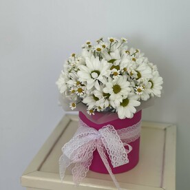 Ромашка в коробке