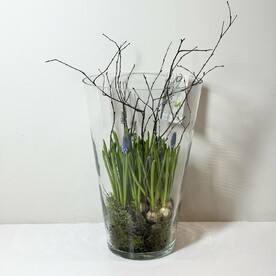 Композиция с луковичными мускари в вазе