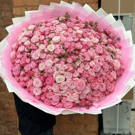 101 кустовая Роза