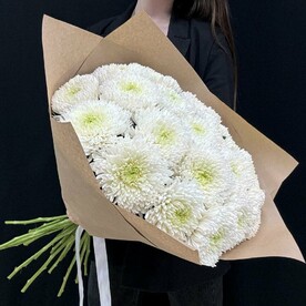 Хризантема одноголовая 19 шт (мб 015)