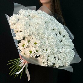 Хризантема кустовая ромашка 25шт (мб 034)