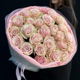 Букет розовые розы 25 шт (мб 251)