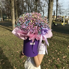 Гипсофиловое счастье