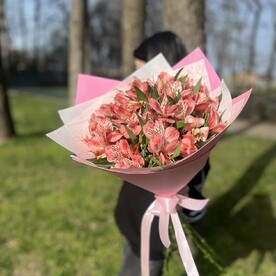 Букет из 11 веток Альстромерии