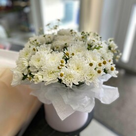 Светлые мечты