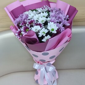 Кустовые хризантемы