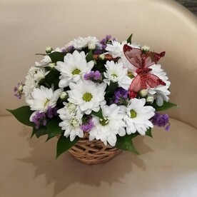 Ромашковое поле