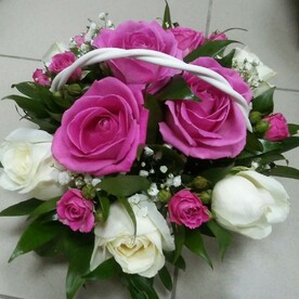 Робкая надежда