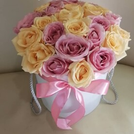 Светлые мечты