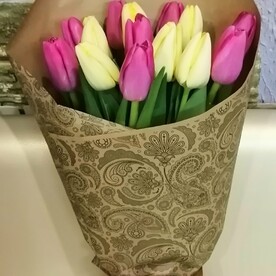 15 тюльпанов