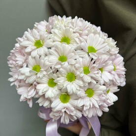 Хризантема в коробке