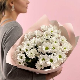 5 кустовых хризантем ромашек