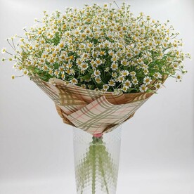 Ромашки для мамочки