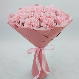 Розовые диантусы ×17