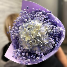 Букет Гортензия с Гипсофилой