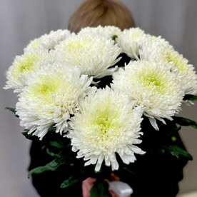 Букет хризантем магнум