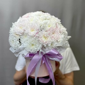 Хризантема в шляпной коробке