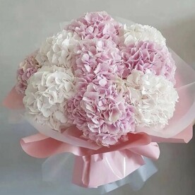 Букет цветов из 9 колумбийских голубых гортензий