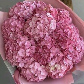 Букет цветов из 9 колумбийских розовых гортензий
