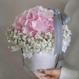 Розовая гортензия в коробке «Комплимент»