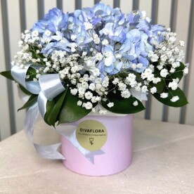 Гортензия в коробке "Симфония"