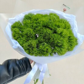 Цветы живые букет из 25 диантусов грин трик киви гвоздики в подарочной упаковке