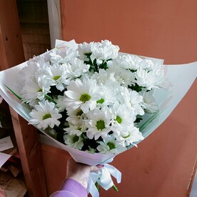 Ромашки хризантемы