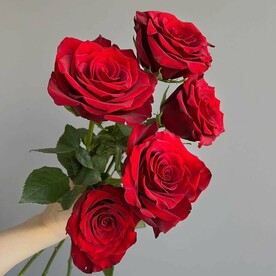 Пять красных роз