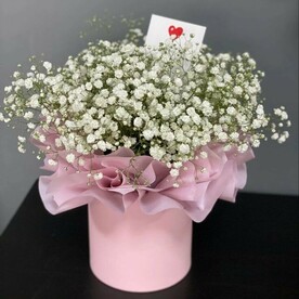 Белая гипсофила