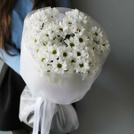 7 кустовых ромашек