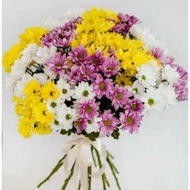 Разноцветные ромашки