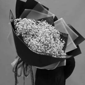 Букет из гипсофилы 25шт