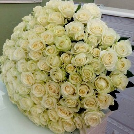 Белая роза 101шт