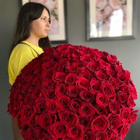 Красная роза 101шт