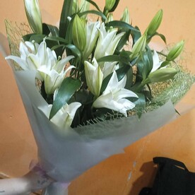 Лилия в упаковке 5шт