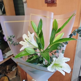 Лилия с зеленью