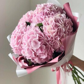 Розовая гортензия 5шт