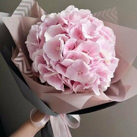 Букет комплимент "гортензия"