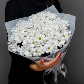 Ромашки 7 веточек